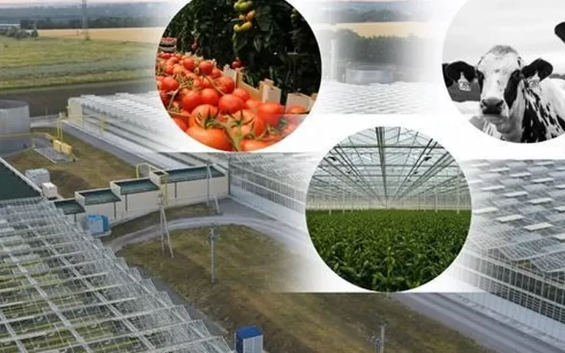 OTB’ler kuruluyor… Hangi destekler verilecek? Yatırım rehberi hazırlandı